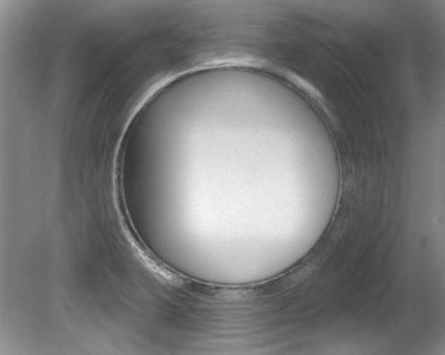 X0000079331423200611170944