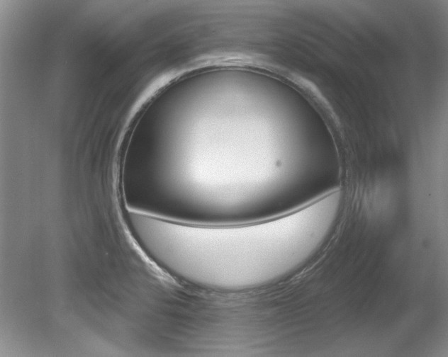 X0000079331424200611170944