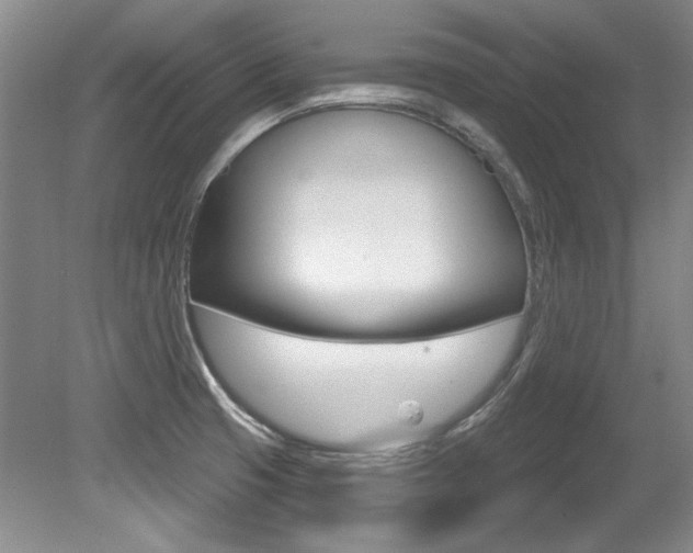 X0000079331425200611170945