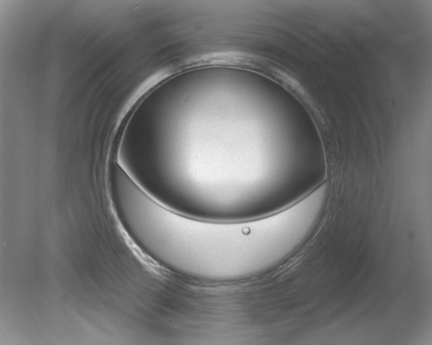 X0000079331426200611170945