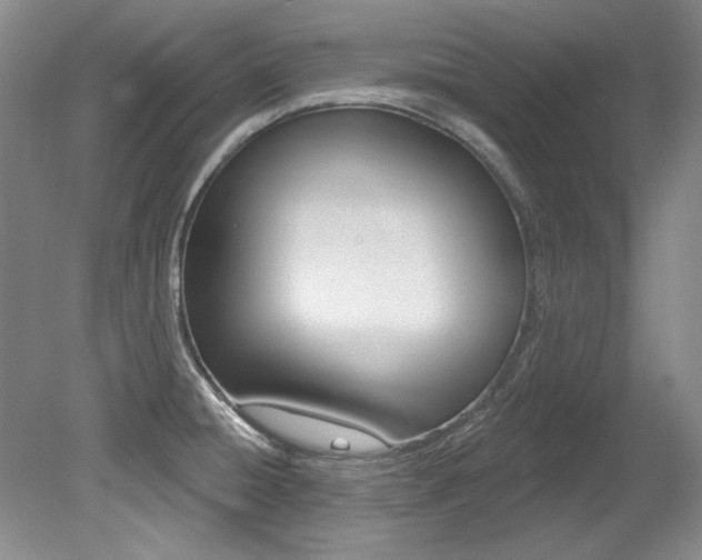 X0000079331428200611170945