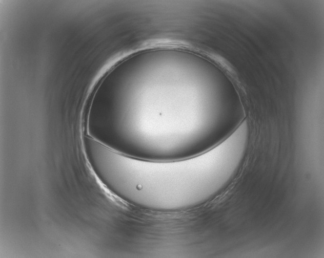 X0000079331430200611170945