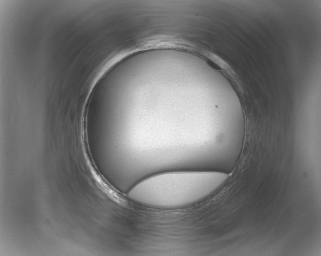 X0000079331431200611170945
