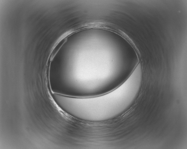 X0000079331434200611170945