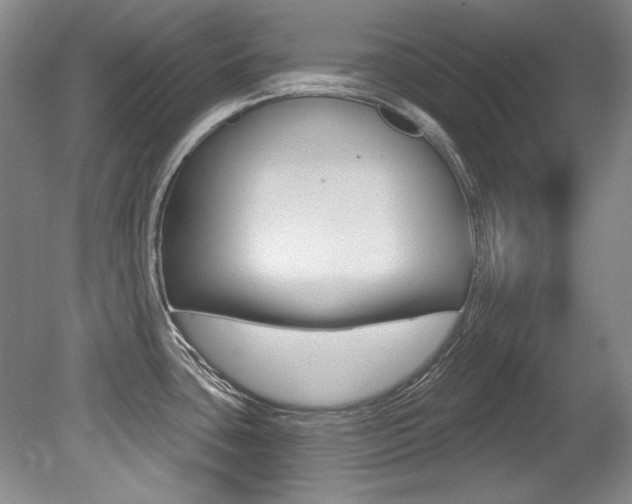 X0000079331435200611170945