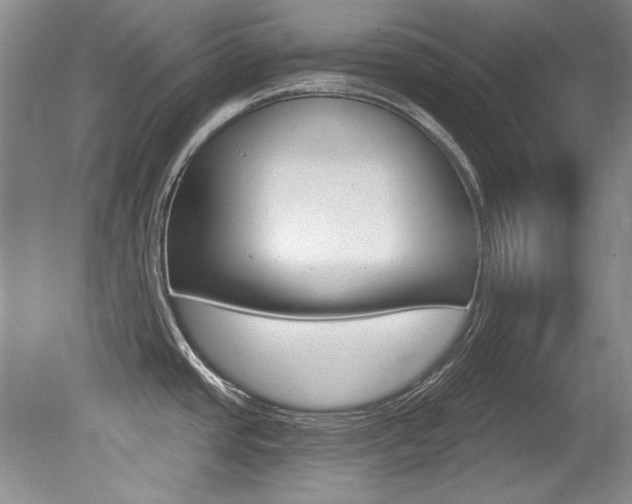 X0000079331437200611170945