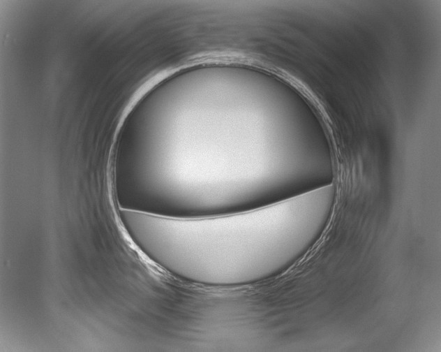 X0000079331440200611170945