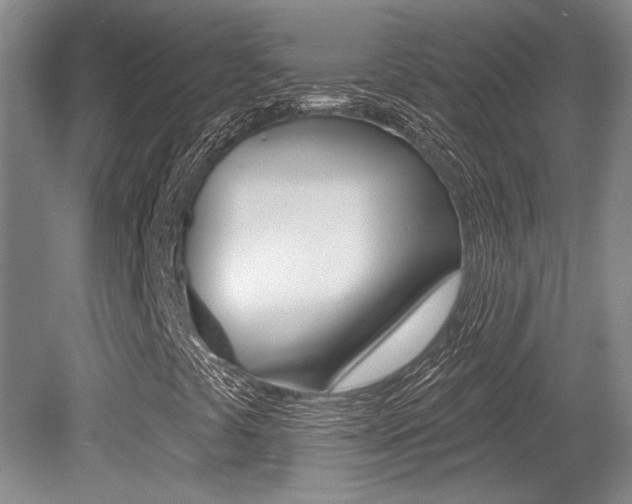 X0000079331441200611170944