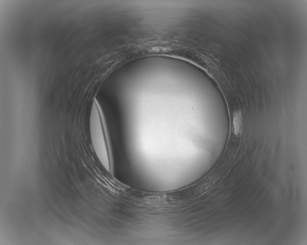 X0000079331444200611170944