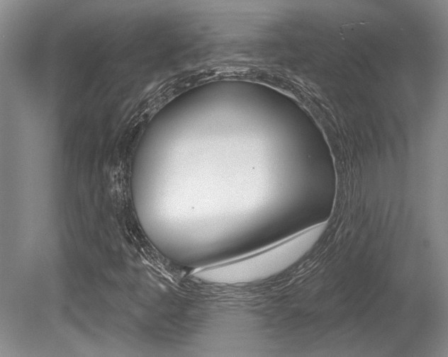 X0000079331445200611170944