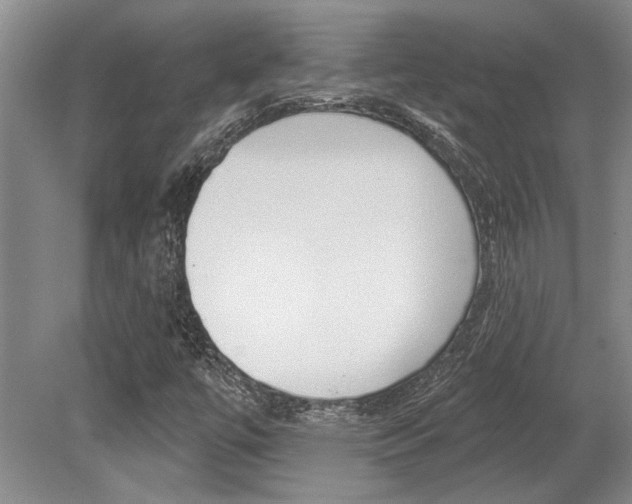 X0000079331447200611170944