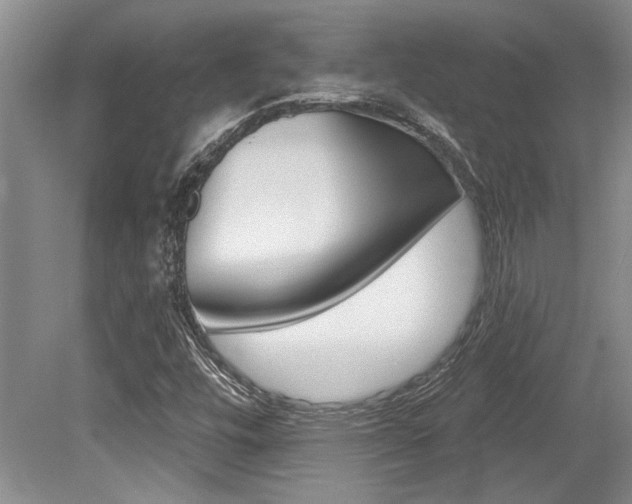 X0000079331448200611170944