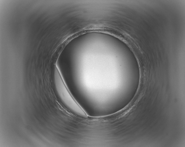 X0000079331449200611170944