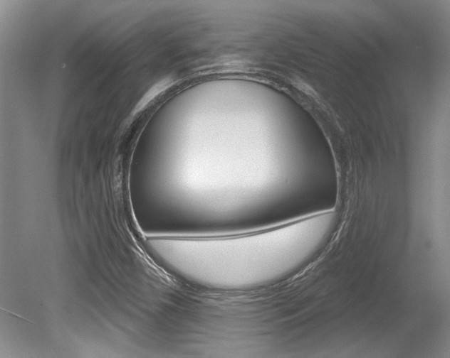 X0000079331450200611170944