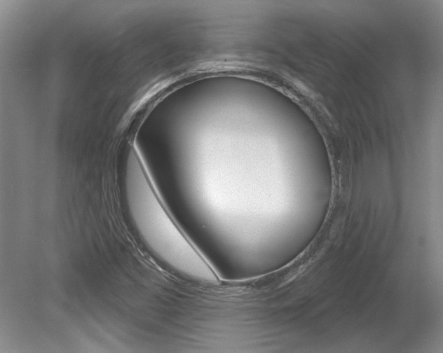 X0000079331453200611170944