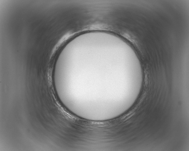 X0000079331454200611170944
