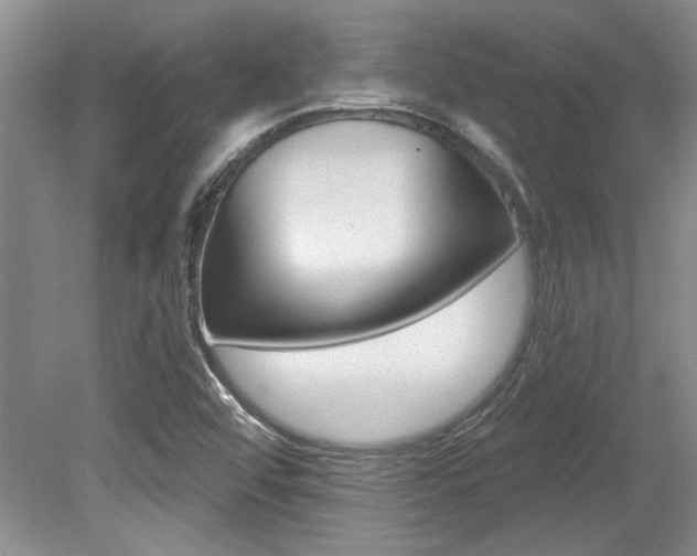 X0000079331456200611170944