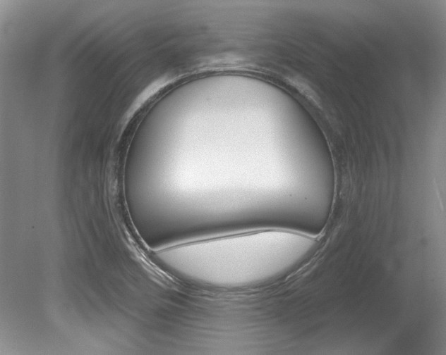 X0000079331458200611170944