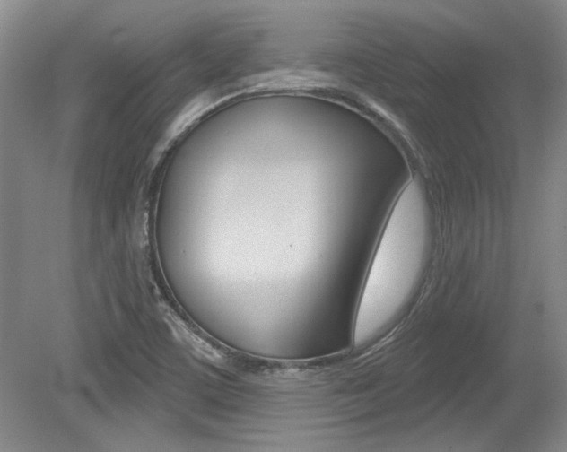 X0000079331459200611170944
