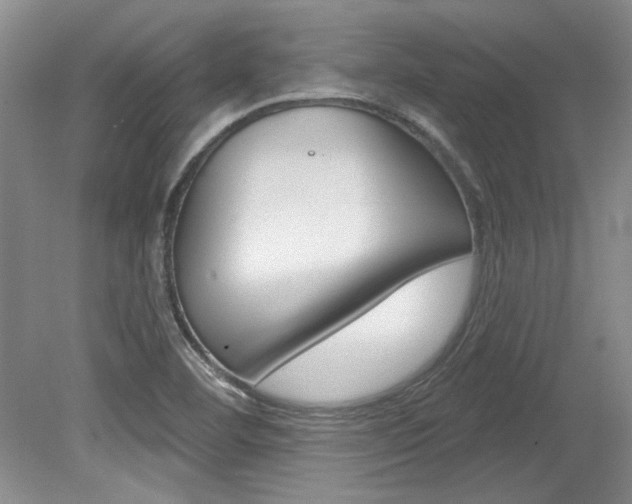X0000079331460200611170944