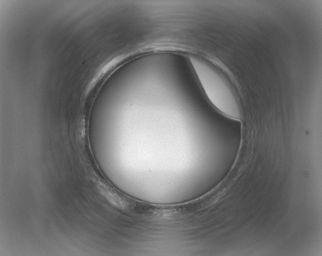 X0000079331461200611170944