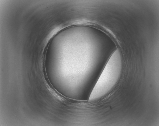 X0000079331463200611170944