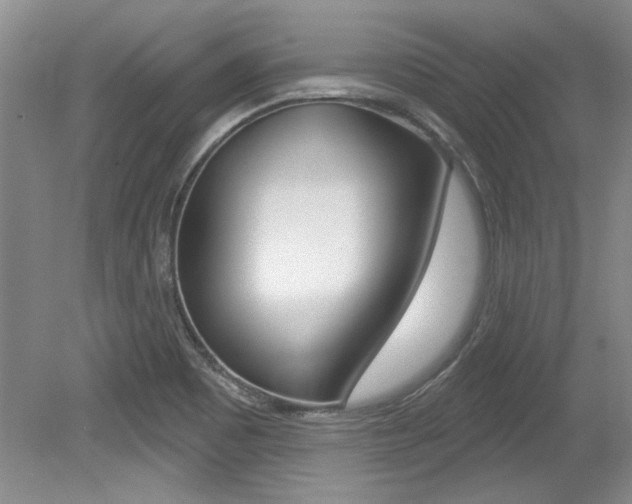 X0000079331465200611170944