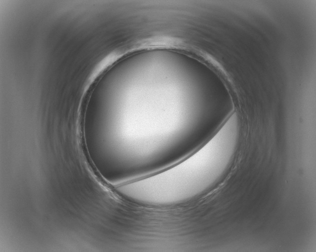 X0000079331469200611170943