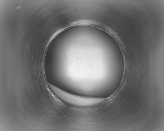 X0000079331473200611170943