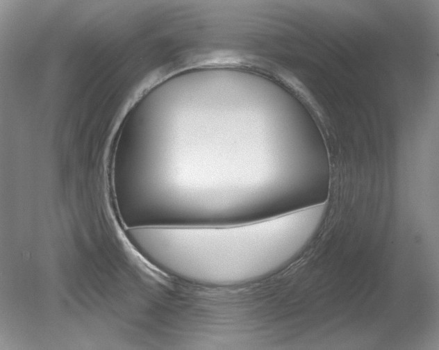 X0000079331475200611170943