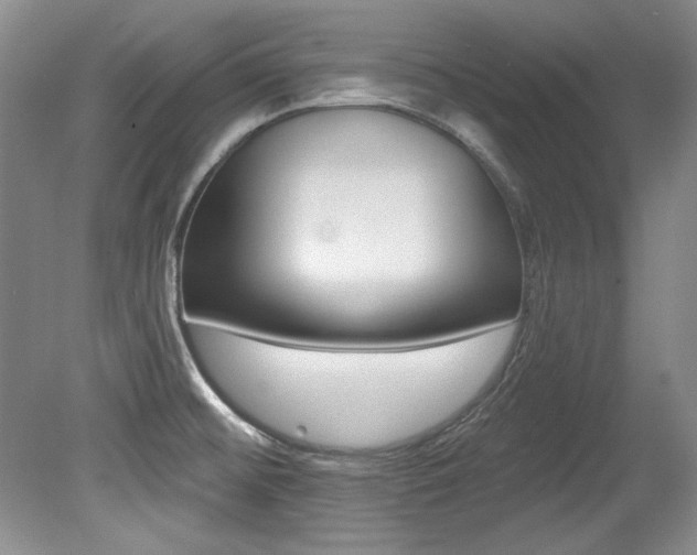 X0000079331476200611170943