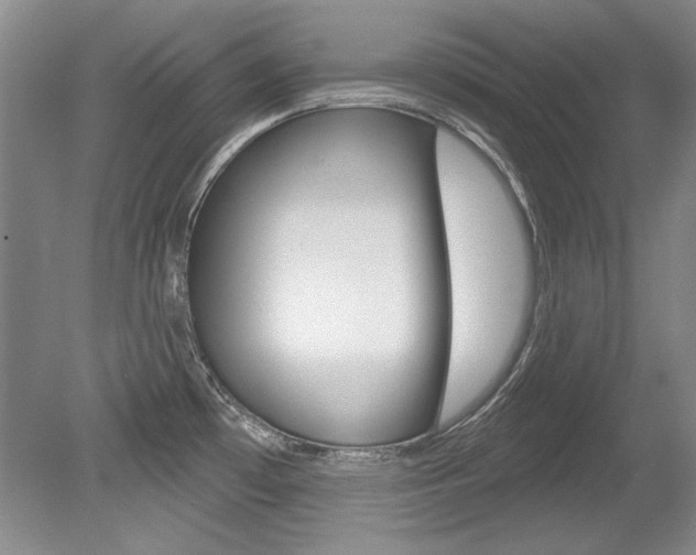 X0000079331481200611170943