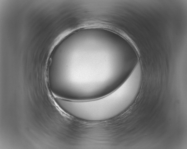 X0000079331485200611170943