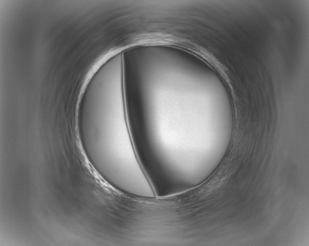 X0000079331488200611170943