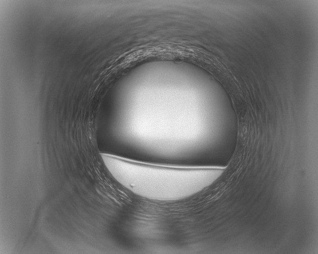 X0000079331490200611170942