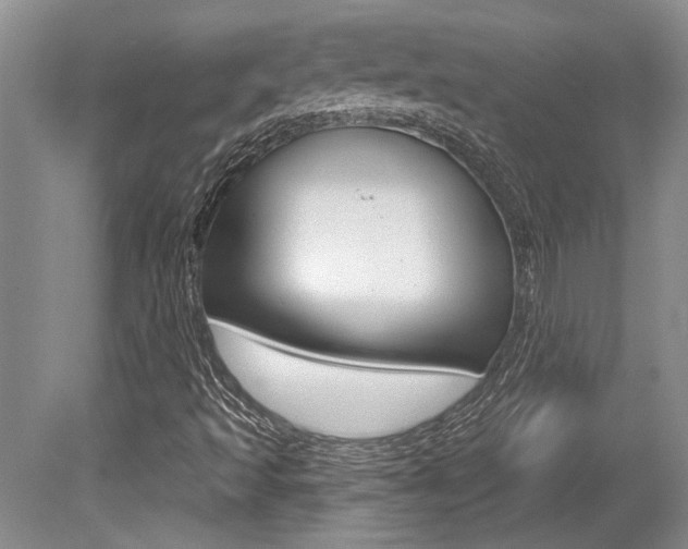X0000079331493200611170942