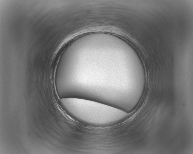 X0000079331498200611170943