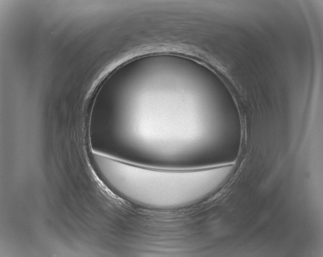 X0000079331500200611170943