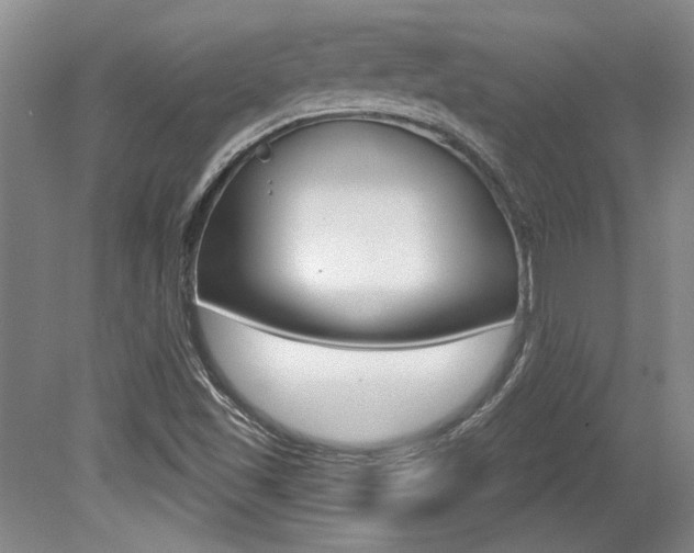 X0000079331501200611170943