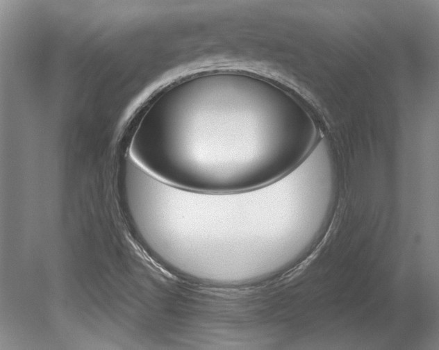 X0000079331502200611170943