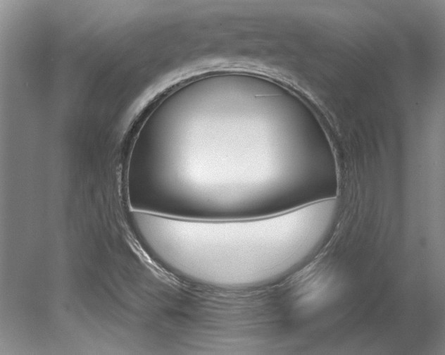 X0000079331503200611170943