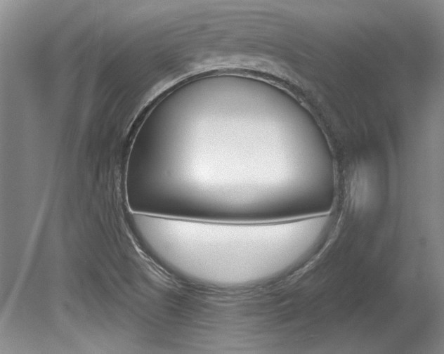 X0000079331505200611170943