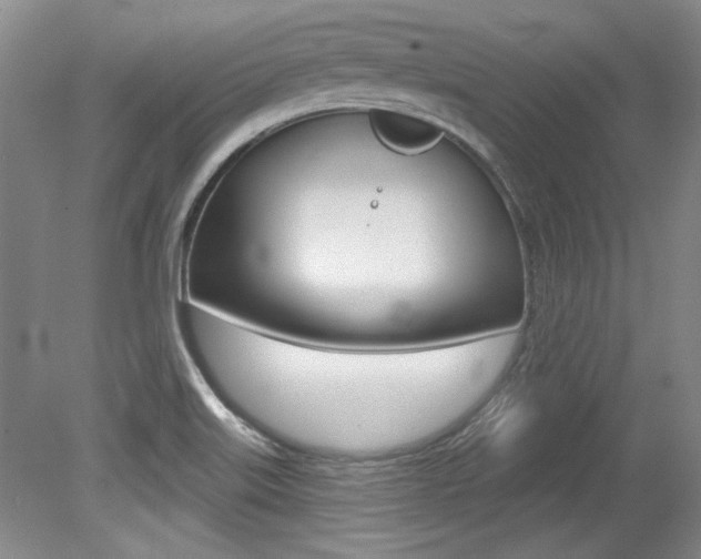 X0000079331515200611170943