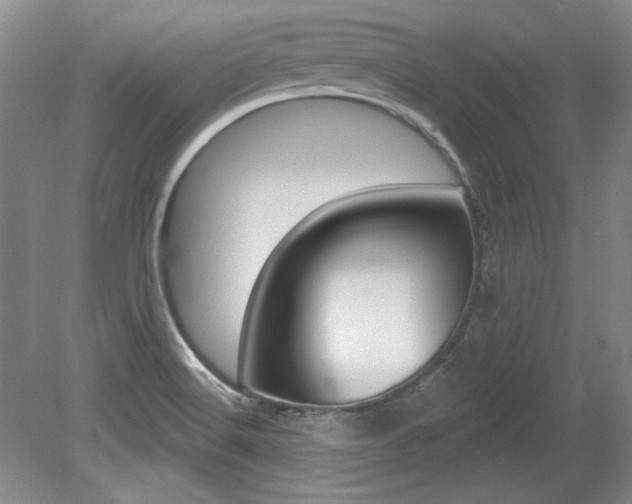 X0000079331516200611170943