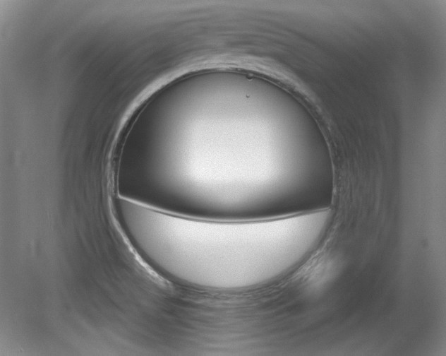 X0000079331517200611170943