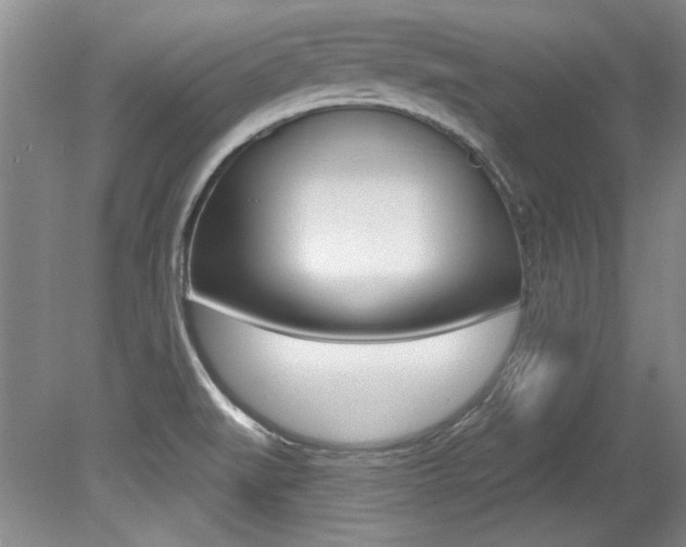 X0000079331519200611170943