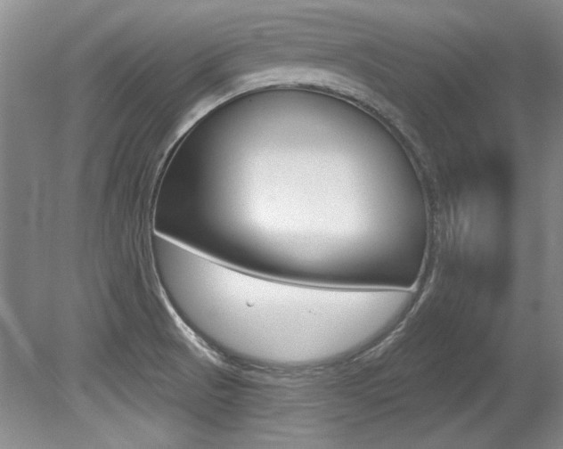 X0000079331521200611170943