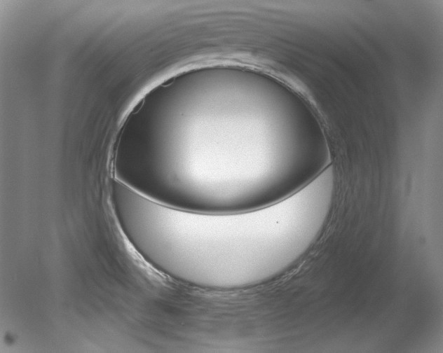 X0000079331524200611170943