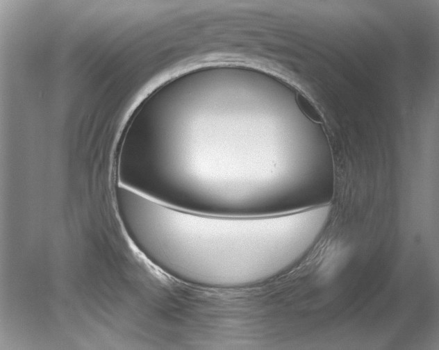 X0000079331527200611170943