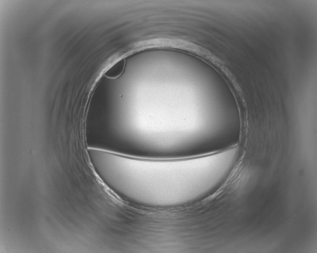 X0000079331529200611170943